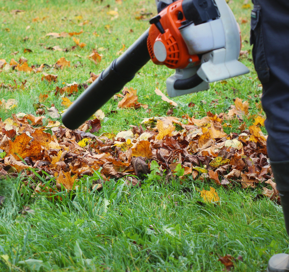 Un service professionnel pour un extérieur à la hauteur de vos attentes.