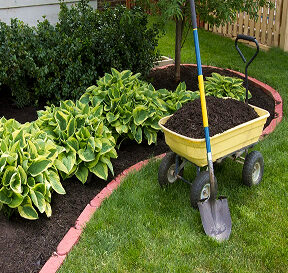 Un gazon verdoyant et uniforme grâce à une pose de tourbe professionnelle.