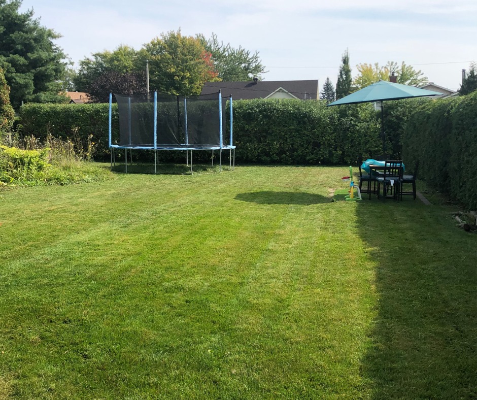 Un service professionnel pour un extérieur à la hauteur de vos attentes.