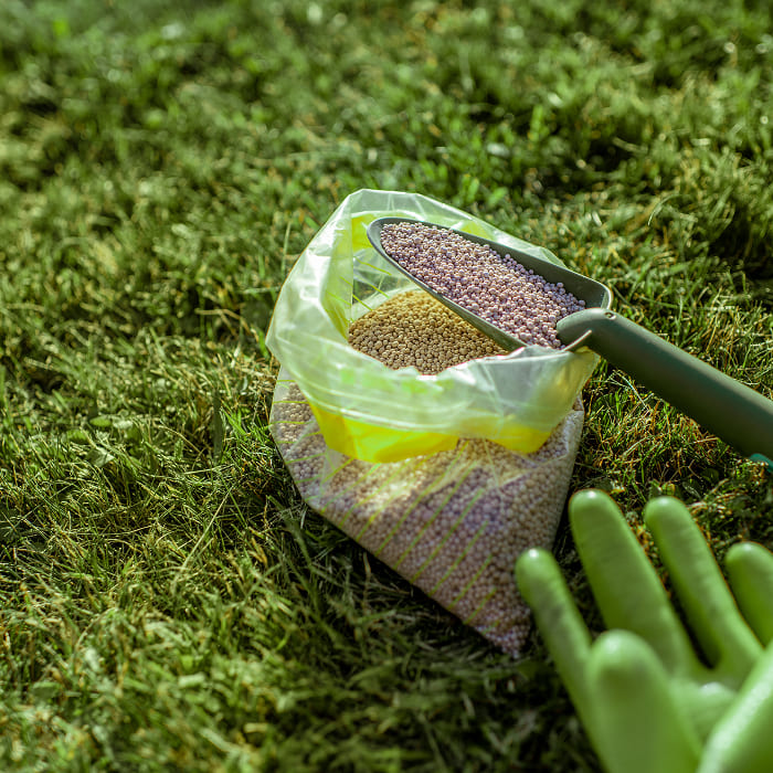 Fertilisation de gazon pour une pelouse verdoyante et en santé toute l’année.