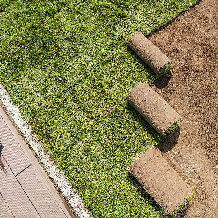 Un gazon verdoyant et uniforme grâce à une pose de tourbe professionnelle.